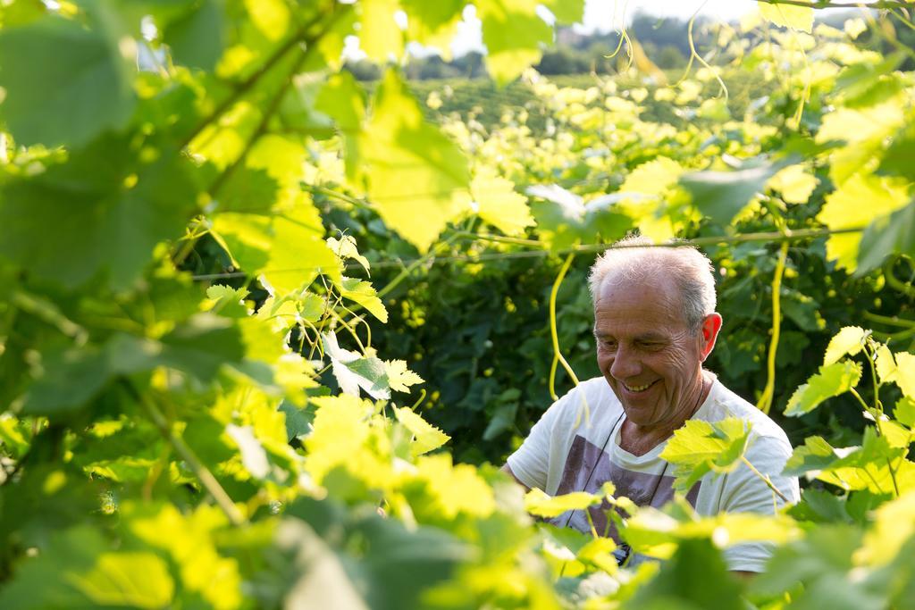 Villa Prosecco Tarzo Kültér fotó